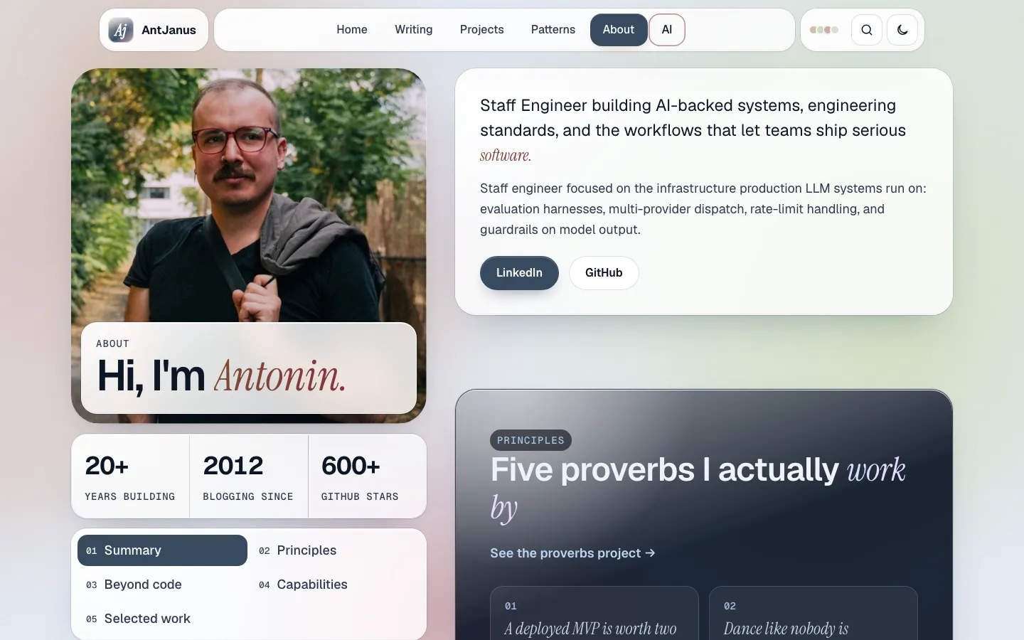 The The Candidate page design